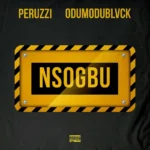 Peruzzi - Nsogbu ft. Odumodublvck