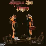 Prettyboy DO - Shame On You ft. Phyno