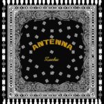 Zuchu - Antenna