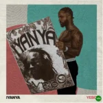 Yebo! mp3 by Iyanya