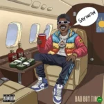 SAY WETIN mp3 by Bad Boy Timz