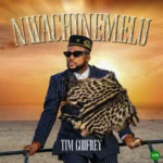 Nwachinemelu mp3 by Tim Godfrey