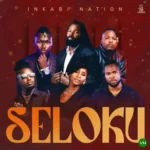Seloku mp3 by Inkabi Nation