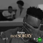 Not Sorry mp3 by Driemo
