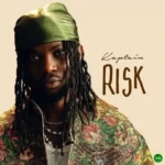 Risk mp3 by Kaptain feat. Rare Vibe