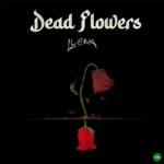 Dead Flowers mp3 by Llona