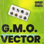 G.M.O. (Freestyle) mp3 by Vector