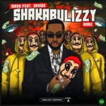 Shakabulizzy (Remix) mp3 by Mavo feat. Davido
