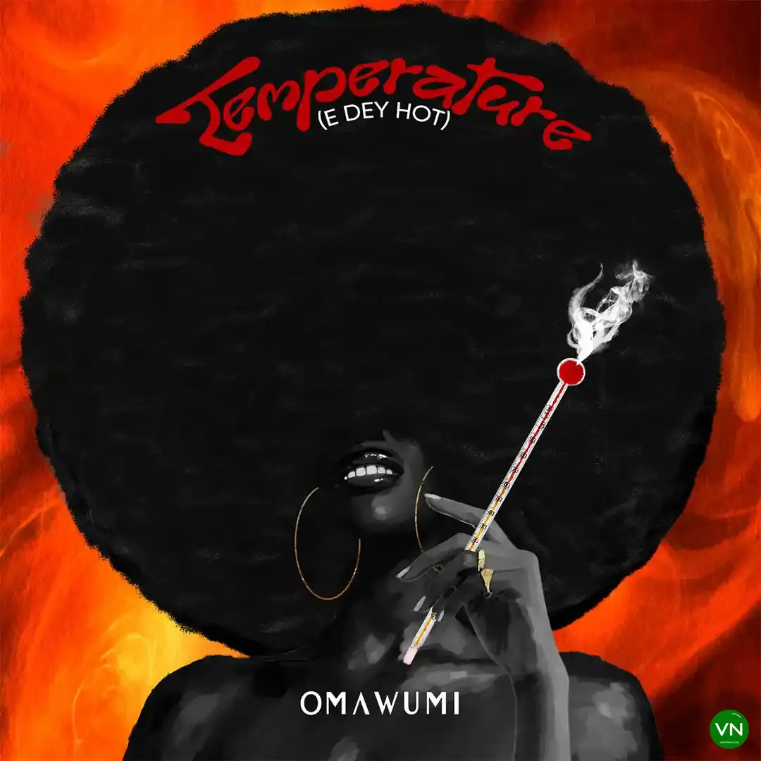 Temperature (E Dey Hot) mp3 by Omawumi