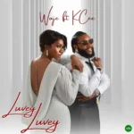 Luvey Luvey mp3 by WAJE feat. KCee