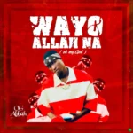 Wayyo Allah Na mp3 by OG Abbah
