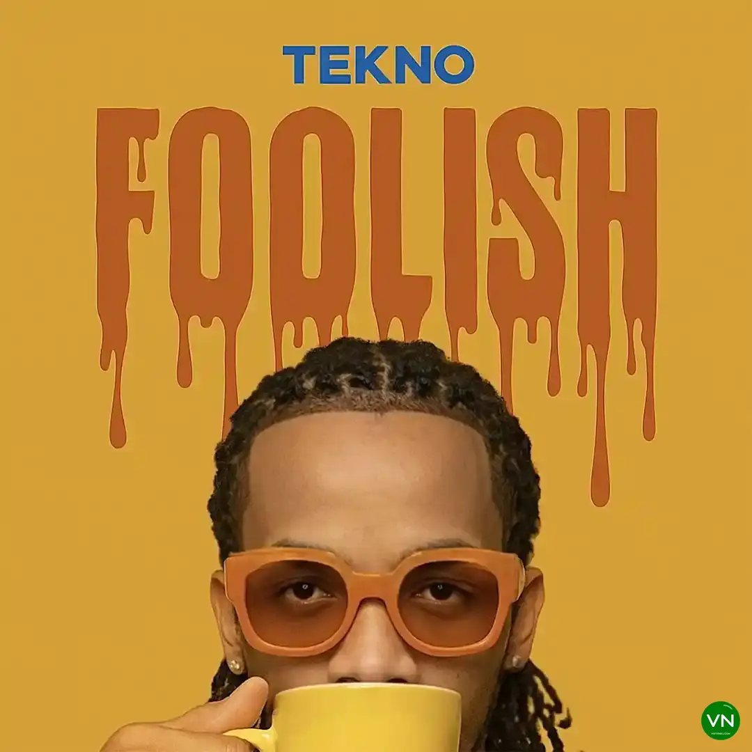 Foolish mp3 by Tekno